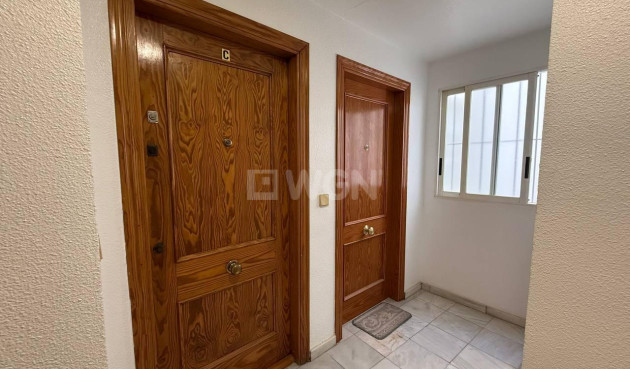 Odsprzedaż - Mieszkanie w bloku - Torrevieja - Centro