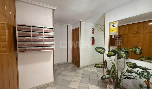Odsprzedaż - Mieszkanie w bloku - Torrevieja - Centro