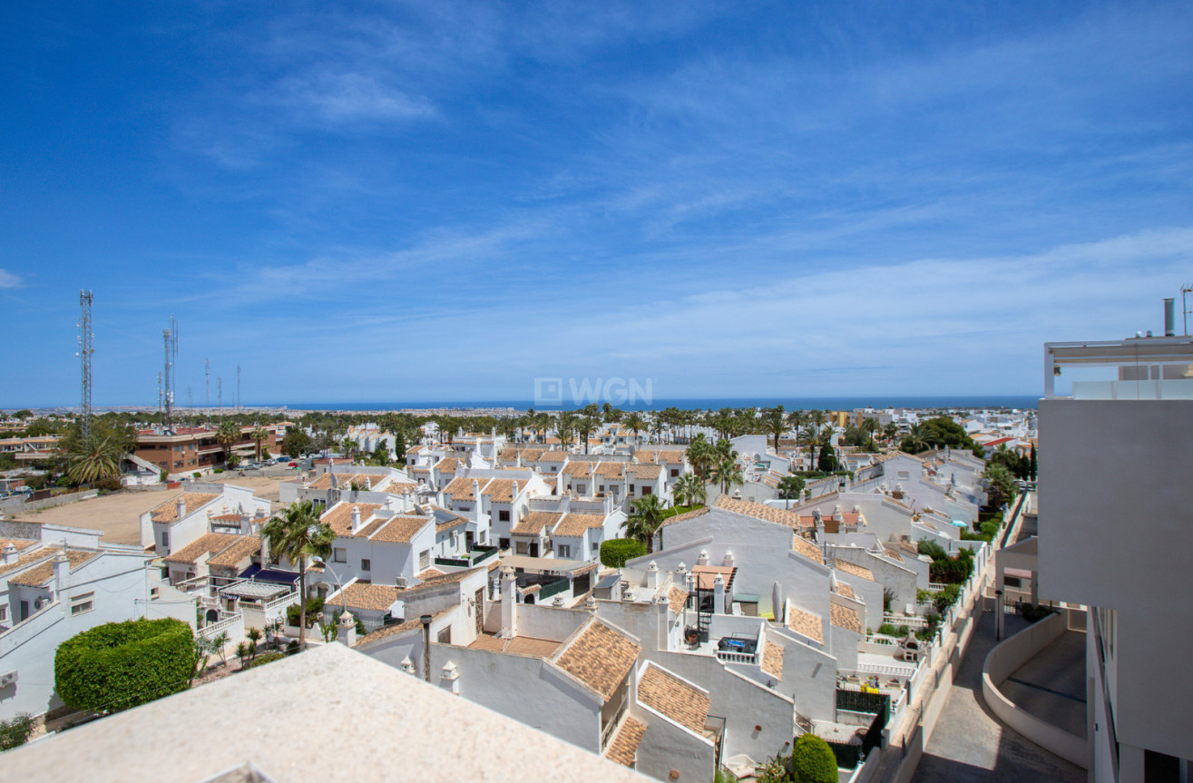 Wiederverkauf - Wohnung - Orihuela Costa - Costa Blanca