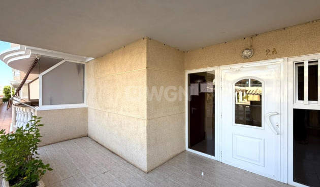 Odsprzedaż - Mieszkanie w bloku - Torrevieja - Los Europeos
