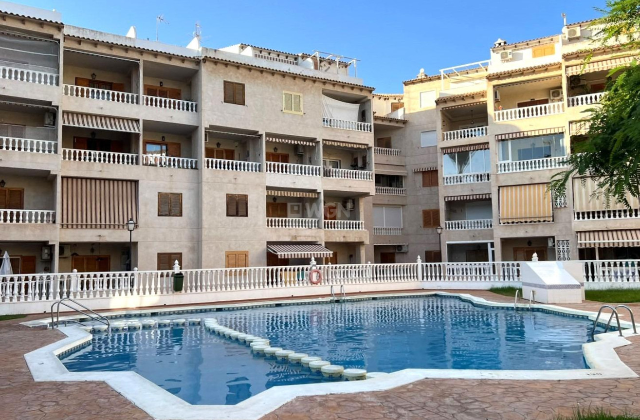 Odsprzedaż - Mieszkanie w bloku - Torrevieja - Playa de los Locos
