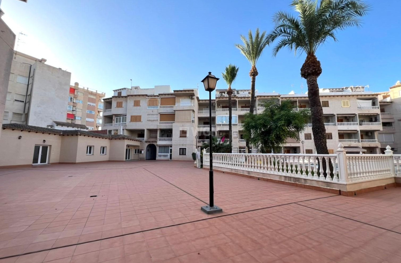 Odsprzedaż - Mieszkanie w bloku - Torrevieja - Playa de los Locos