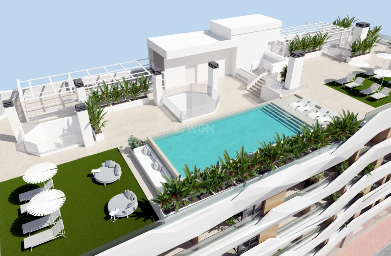 Neue Gebäude - Penthouse - Guardamar del Segura - Pueblo