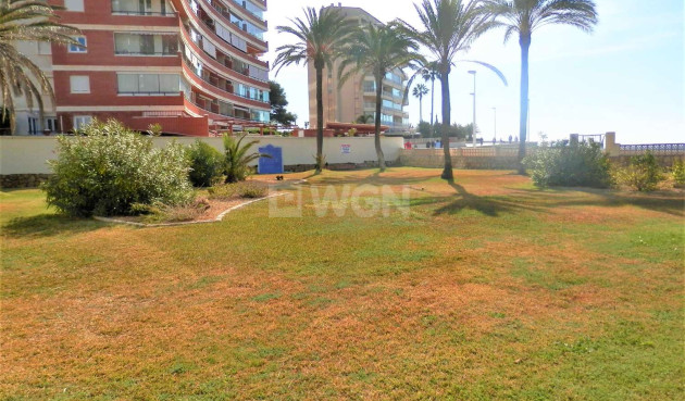 Odsprzedaż - Mieszkanie w bloku - Calpe - Costa Blanca
