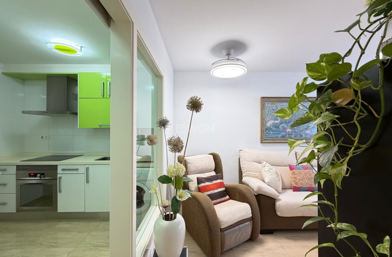 Wiederverkauf - Wohnung - Torrevieja - Paseo Maritimo