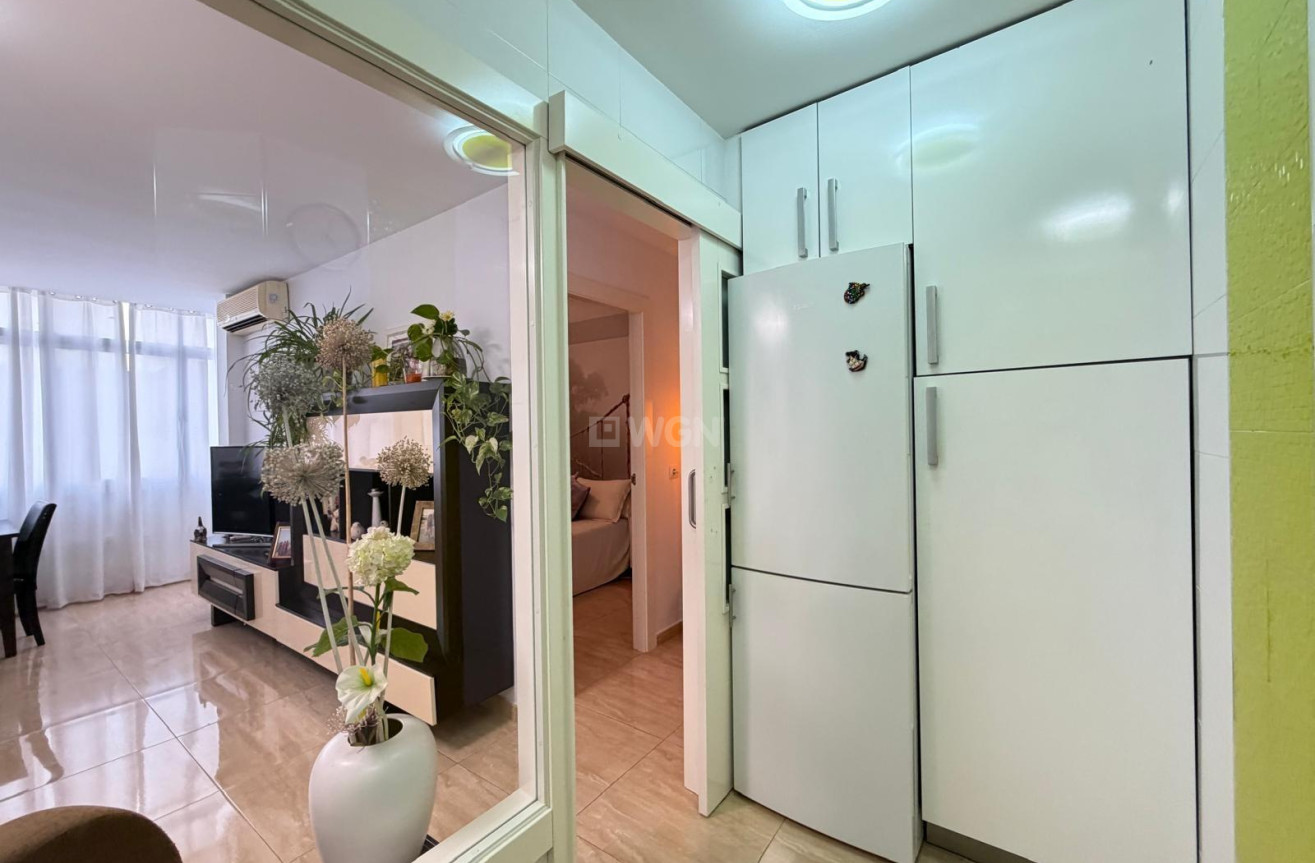 Wiederverkauf - Wohnung - Torrevieja - Paseo Maritimo