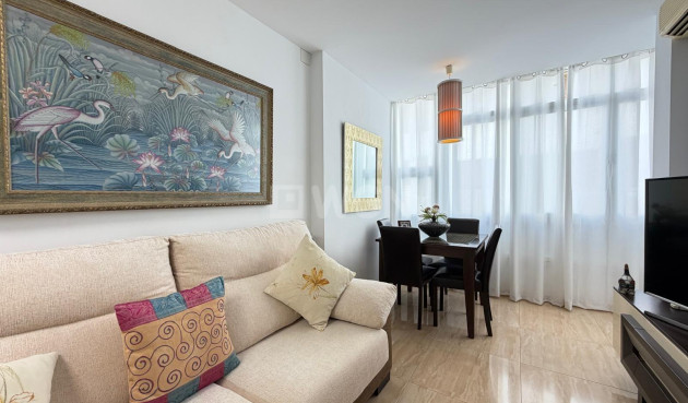 Wiederverkauf - Wohnung - Torrevieja - Paseo Maritimo