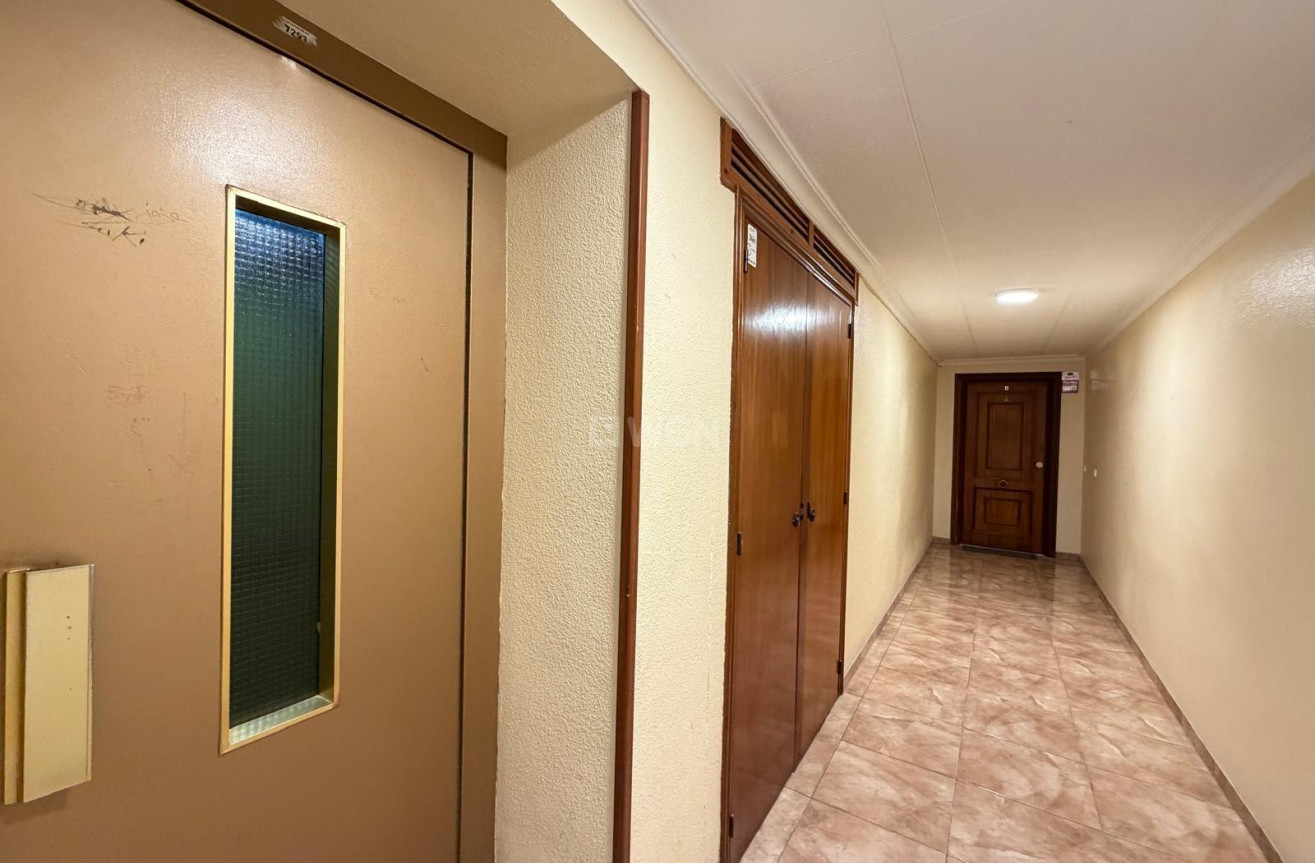 Wiederverkauf - Wohnung - Torrevieja - Paseo Maritimo