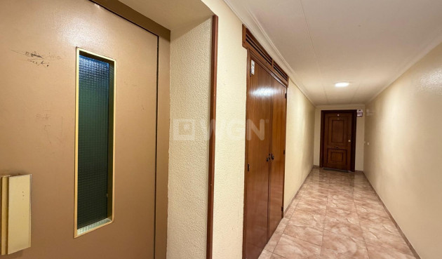 Wiederverkauf - Wohnung - Torrevieja - Paseo Maritimo