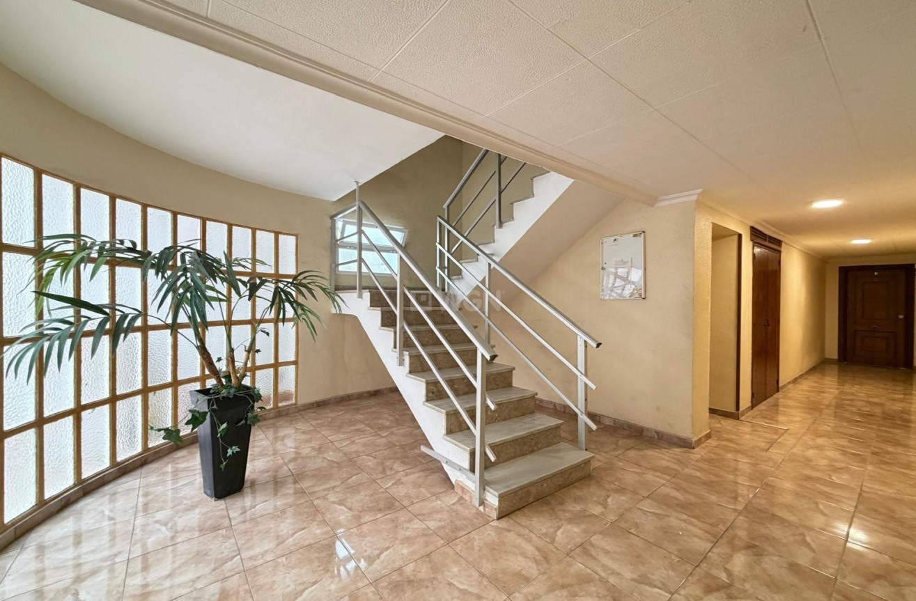 Wiederverkauf - Wohnung - Torrevieja - Paseo Maritimo