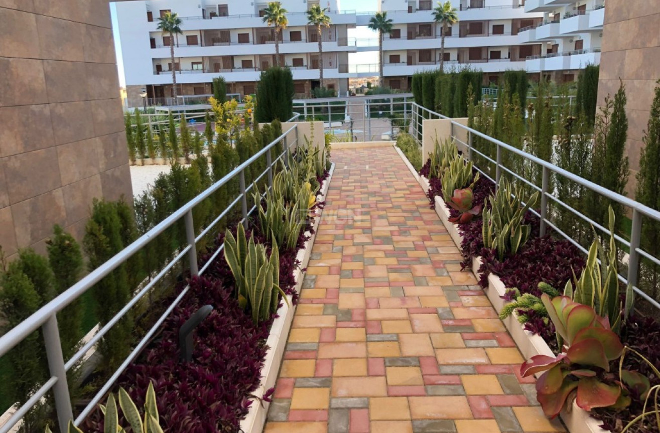 Wiederverkauf - Wohnung - Cabo Roig - Costa Blanca