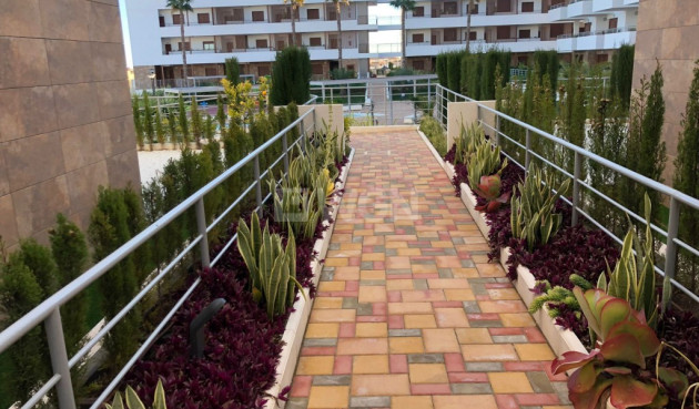 Wiederverkauf - Wohnung - Cabo Roig - Costa Blanca