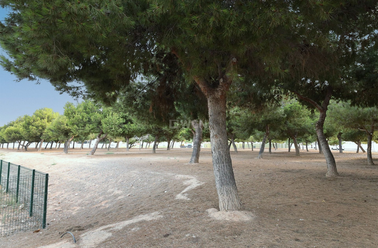 Odsprzedaż - Bungalow - San Pedro del Pinatar - Costa Calida