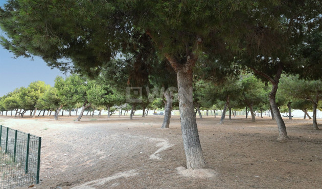 Odsprzedaż - Bungalow - San Pedro del Pinatar - Costa Calida