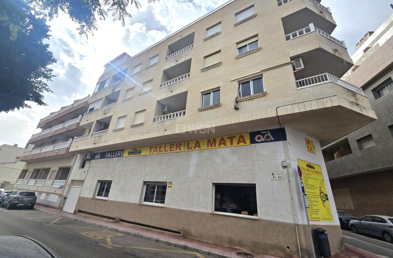 Odsprzedaż - Mieszkanie w bloku - Torrevieja - La Mata Pueblo