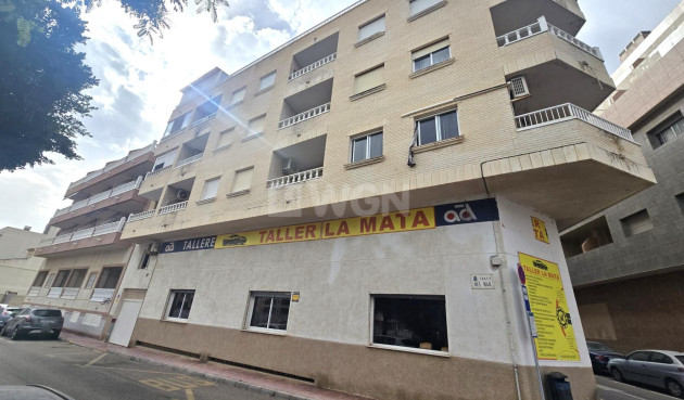 Odsprzedaż - Mieszkanie w bloku - Torrevieja - La Mata Pueblo