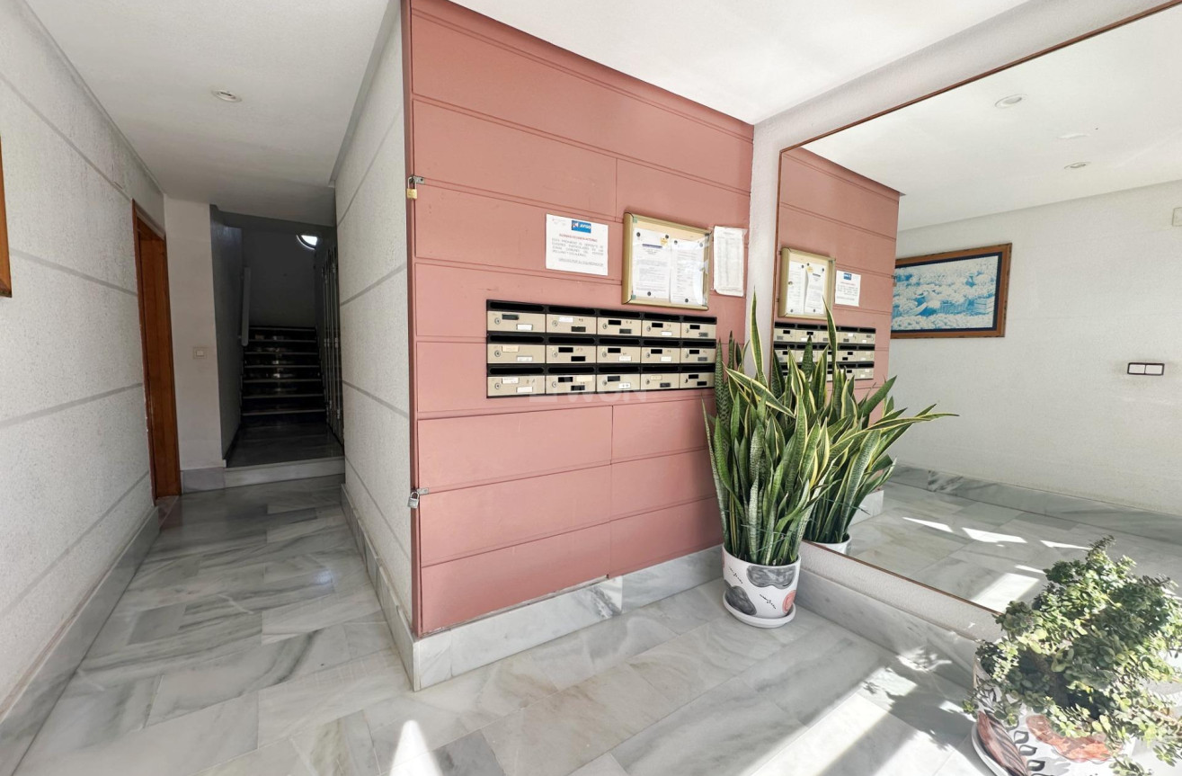 Wiederverkauf - Wohnung - Torrevieja