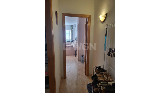 Resale - Apartment / flat - Torrevieja - Estacion De Autobuses