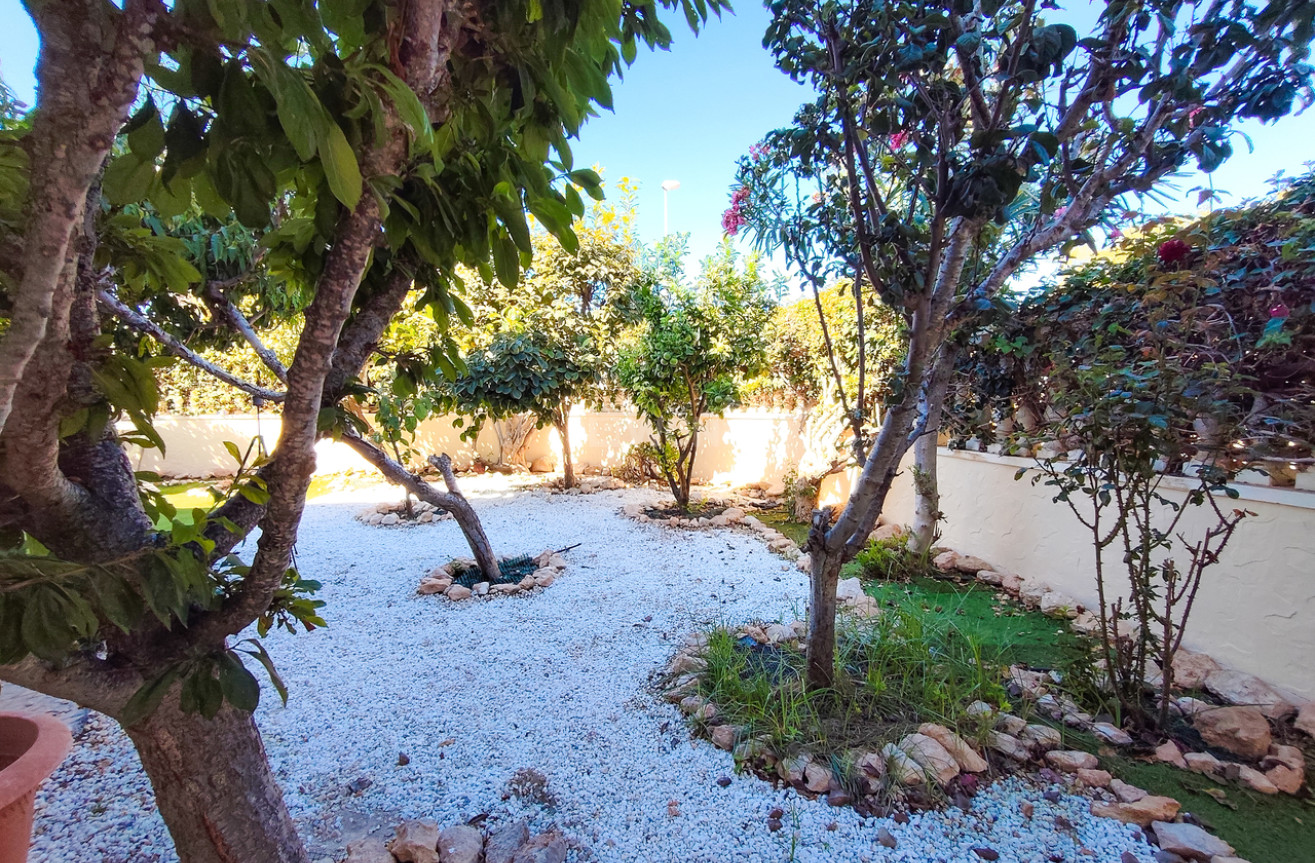 Reventa - Apartamento / piso - Cabo Roig - Costa Blanca
