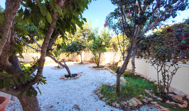 Reventa - Apartamento / piso - Cabo Roig - Costa Blanca