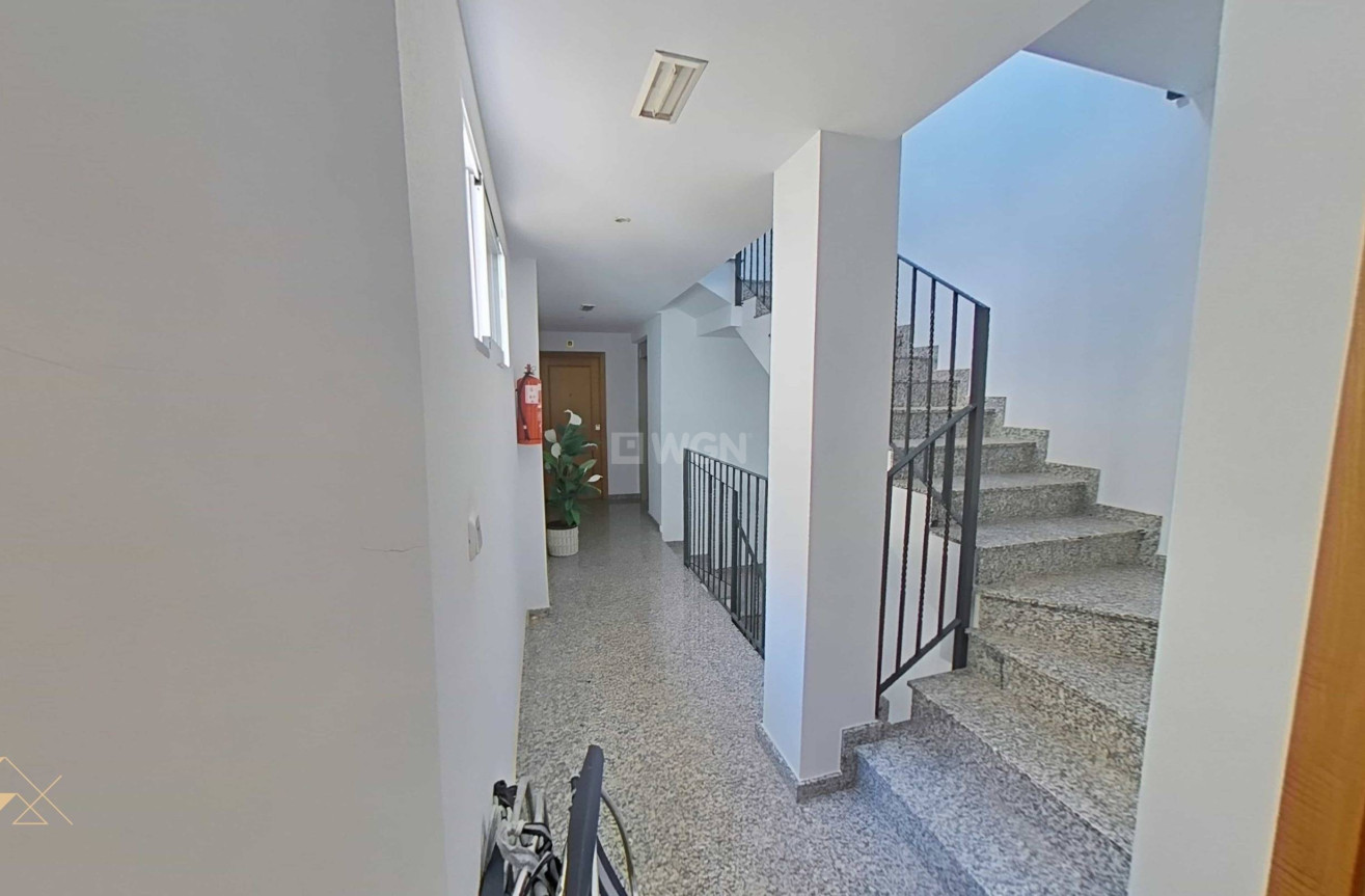 Reventa - Apartamento / piso - Lo Pagan - LA PUNTICA