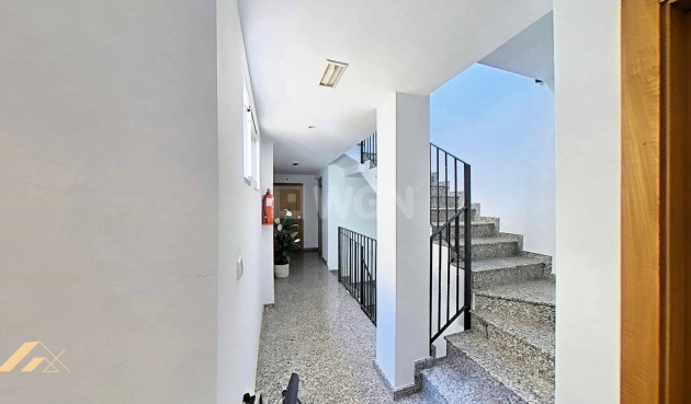 Reventa - Apartamento / piso - Lo Pagan - LA PUNTICA