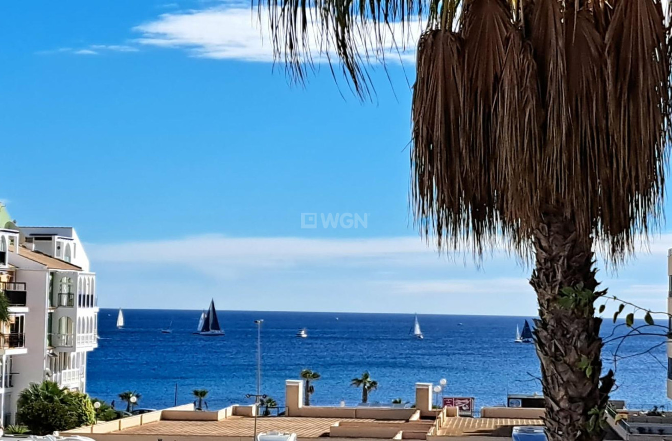 Odsprzedaż - Mieszkanie w bloku - Torrevieja - Costa Blanca