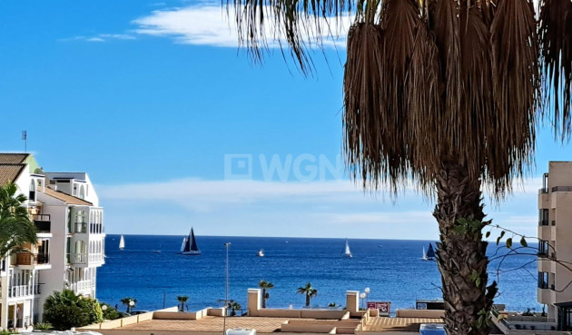 Odsprzedaż - Mieszkanie w bloku - Torrevieja - Costa Blanca