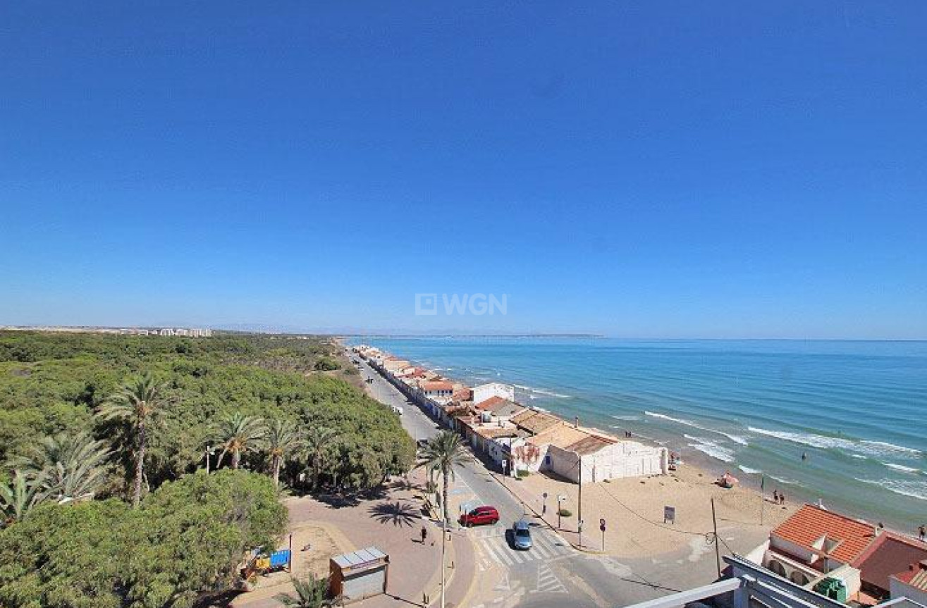 Wiederverkauf - Penthouse - Guardamar del Segura - Guardamar Playa