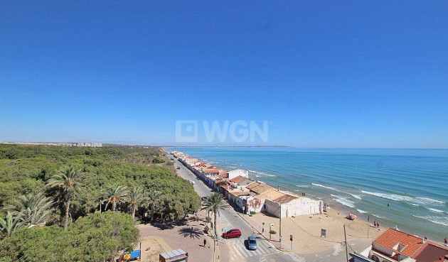 Wiederverkauf - Penthouse - Guardamar del Segura - Guardamar Playa
