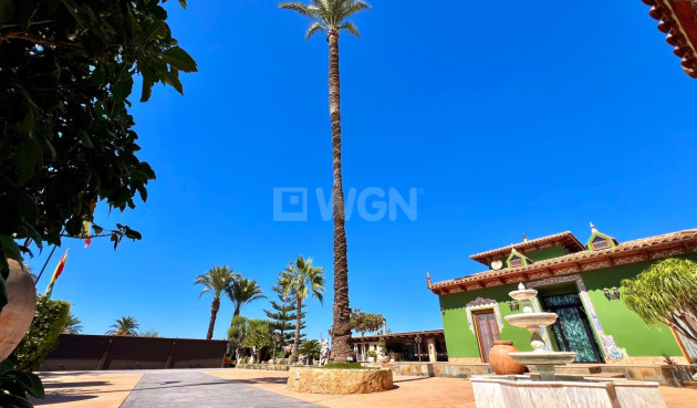 Odsprzedaż - Villa - Almoradí - Comunidad Valenciana