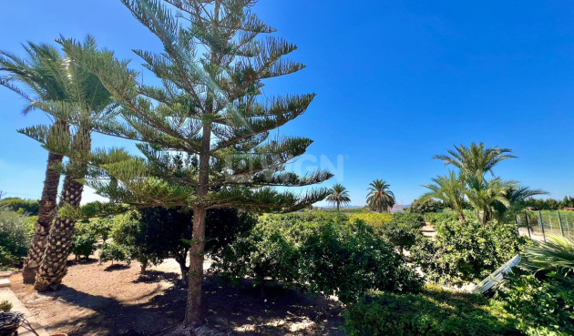 Odsprzedaż - Villa - Almoradí - Comunidad Valenciana