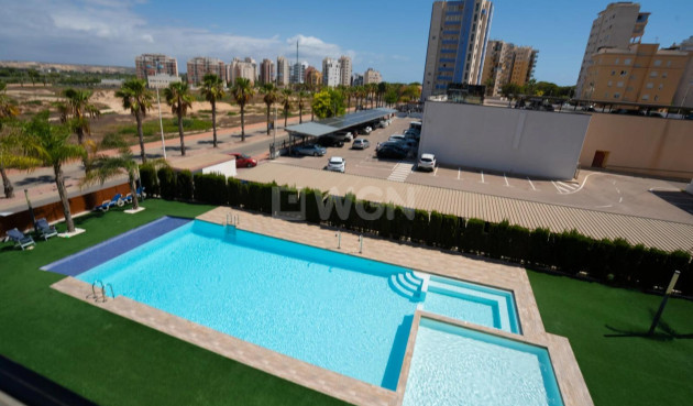 Reventa - Apartamento / piso - Guardamar del Segura - Puerto Deportivo