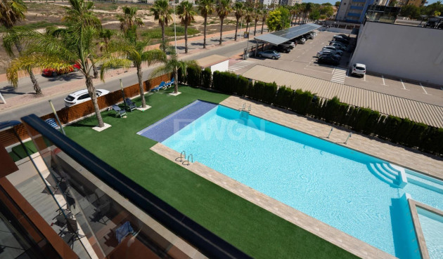 Reventa - Apartamento / piso - Guardamar del Segura - Puerto Deportivo