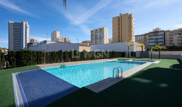 Reventa - Apartamento / piso - Guardamar del Segura - Puerto Deportivo