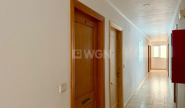 Odsprzedaż - Mieszkanie w bloku - Torrevieja - Playa de los Locos