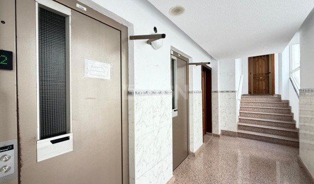 Reventa - Apartamento / piso - Torrevieja - Las Piscinas Naturales