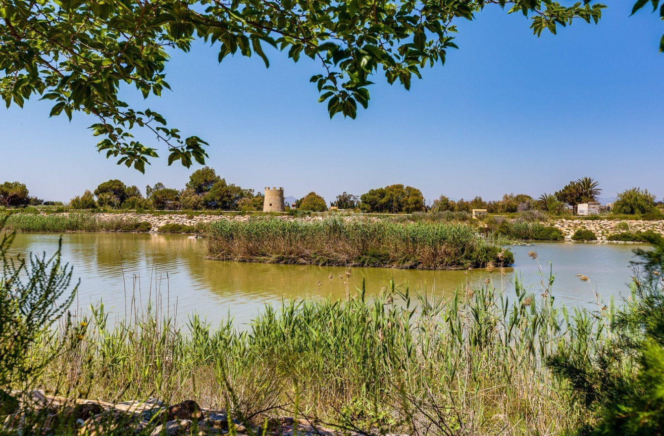 Odsprzedaż - Kamienica - San Fulgencio - La Marina