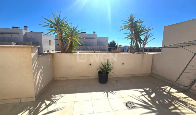 Odsprzedaż - Dupleks - Torrevieja - Sector 25