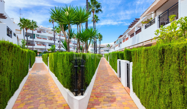 Wiederverkauf - Wohnung - Orihuela Costa - Costa Blanca
