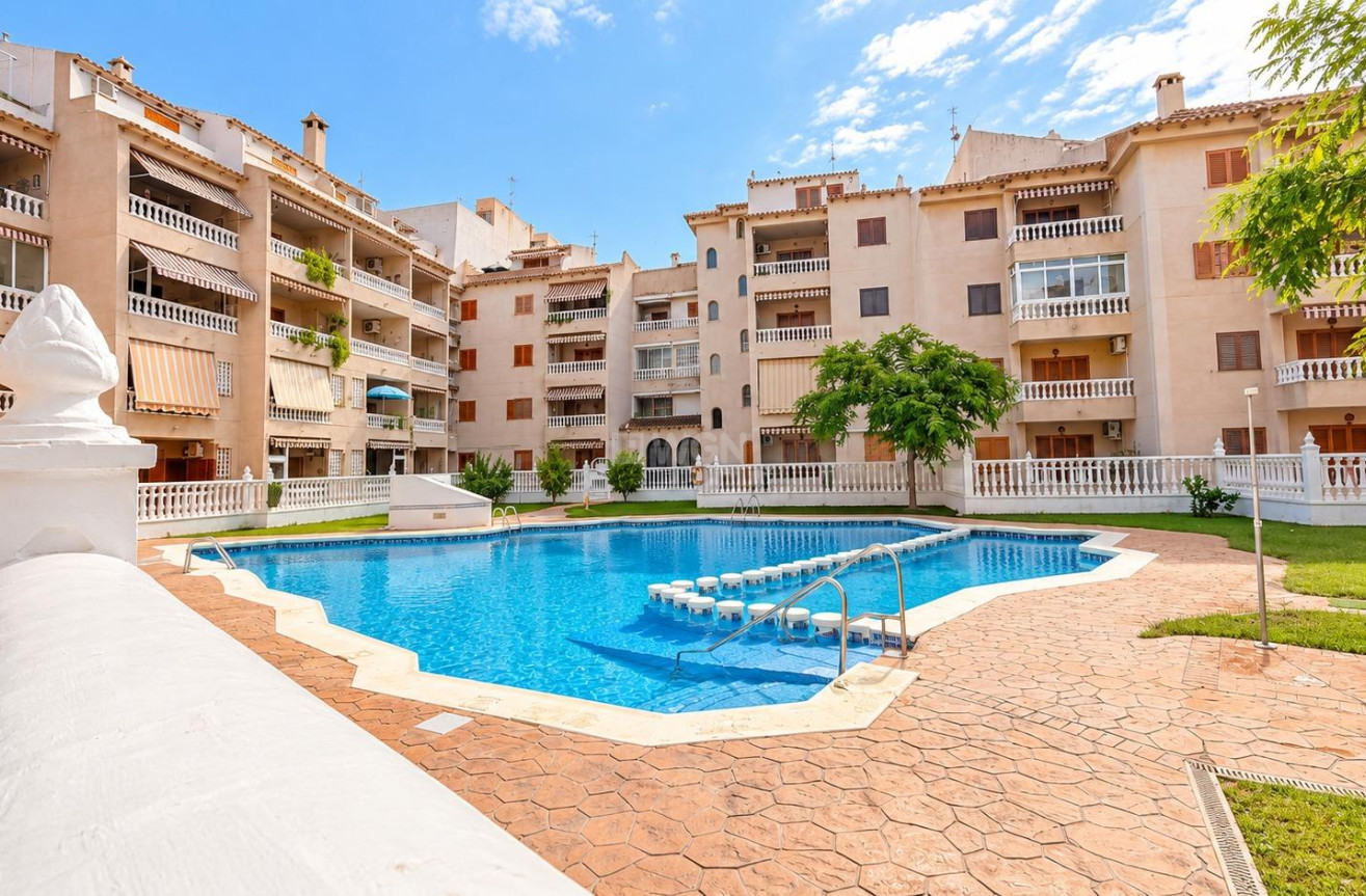 Wiederverkauf - Wohnung - Torrevieja - Playa de los Locos