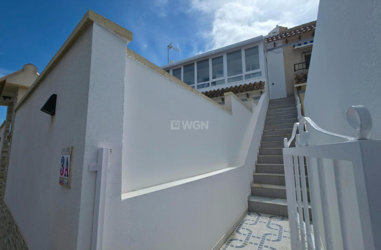 Wiederverkauf - Bungalow - Torrevieja - Zona Los Frutales