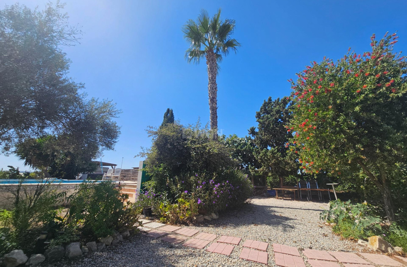 Wiederverkauf - Villa - Orihuela - Molins-campaneta-san Bartolomé