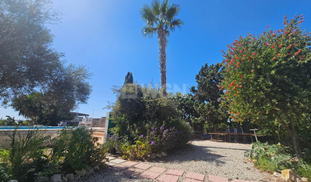 Wiederverkauf - Villa - Orihuela - Molins-campaneta-san Bartolomé