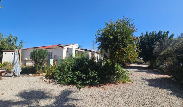 Wiederverkauf - Villa - Orihuela - Molins-campaneta-san Bartolomé