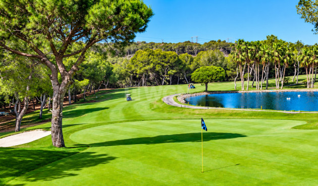 Wiederverkauf - Wohnung - Cabo Roig - Costa Blanca