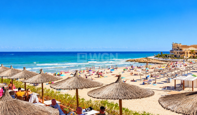 Wiederverkauf - Wohnung - Cabo Roig - Costa Blanca
