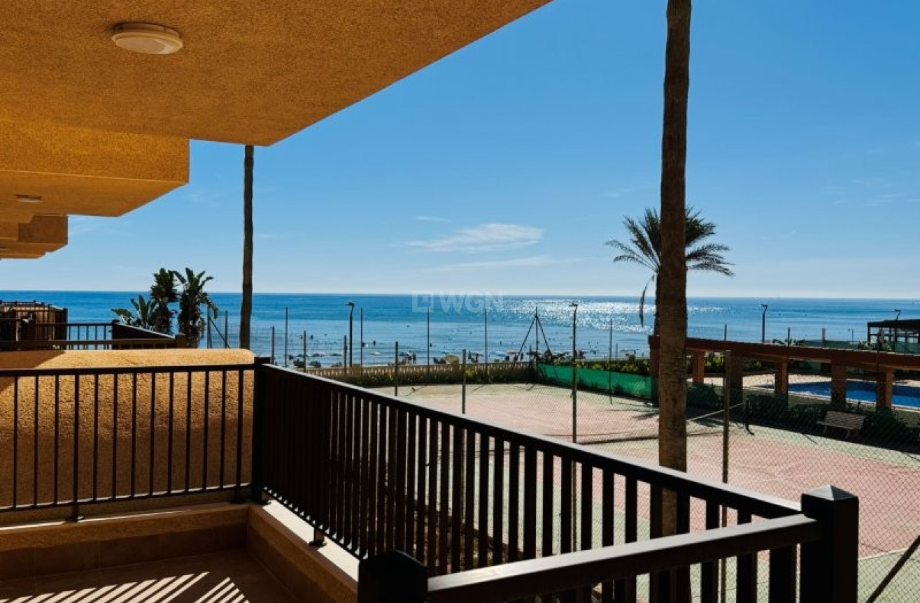 Reventa - Apartamento / piso - La Mata - Costa Blanca