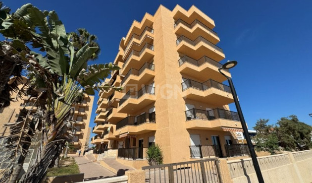 Reventa - Apartamento / piso - La Mata - Costa Blanca