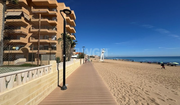 Reventa - Apartamento / piso - La Mata - Costa Blanca